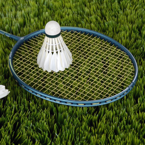 Badminton